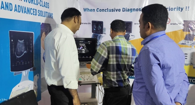 rajasthan-iria---udaipur