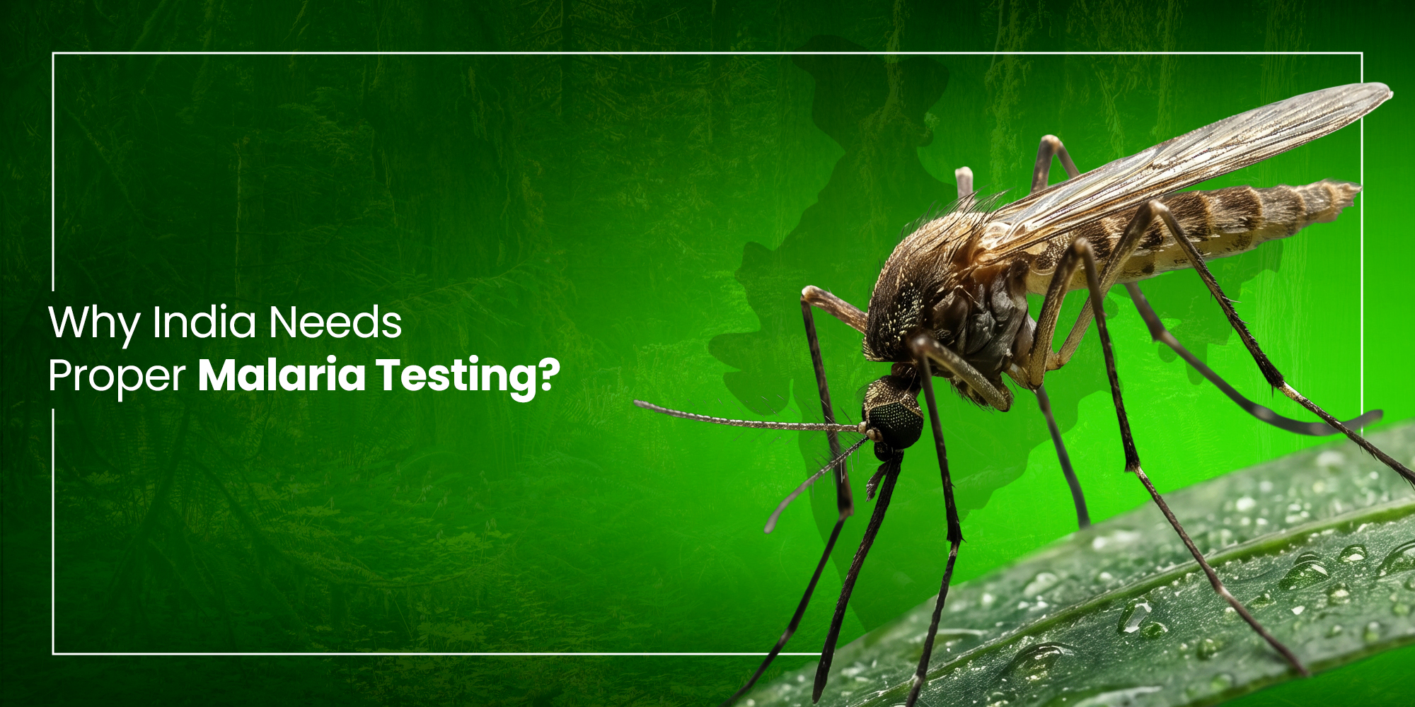 Why India Needs Proper Malaria Testing?