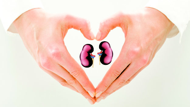 DIET & NUTRITION TIPS FOR HEALTHY KIDNEYS