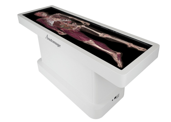 Anatomage Table