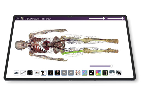 Anatomage Tablet