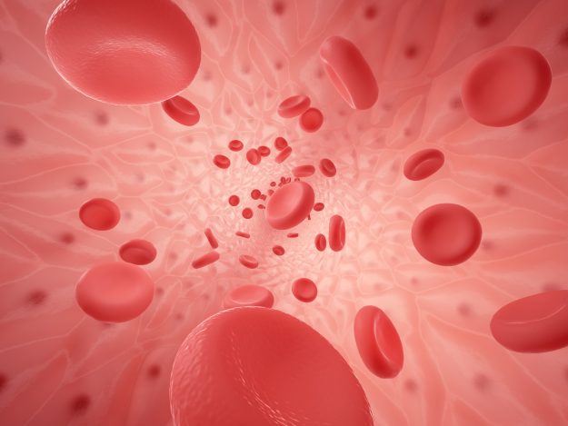 White Blood Cells: Disease and Disorders
