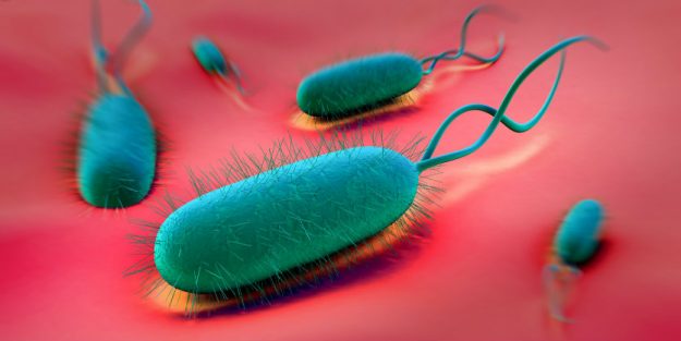 Accurate Diagnosis of H Pylori Infection and Celiac Disease a Complex Trick, Simplified.
