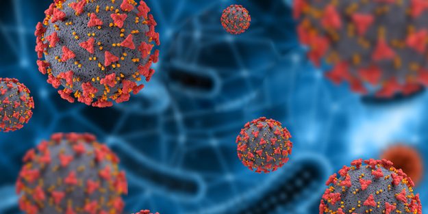 The coronavirus family and the disease associated with them