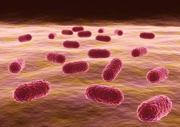 Procalcitonin (PCT) plays an important role in sepsis