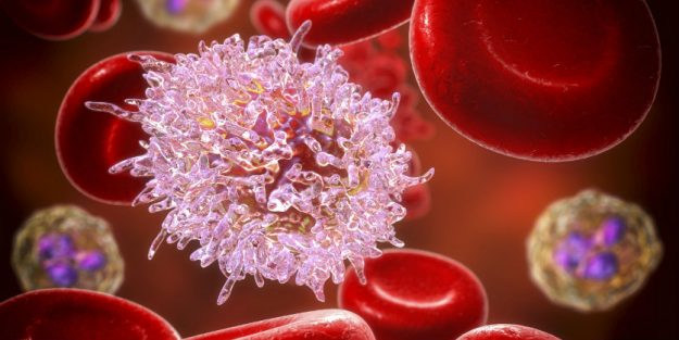 Hematology: Finding Order in Blood Disorders