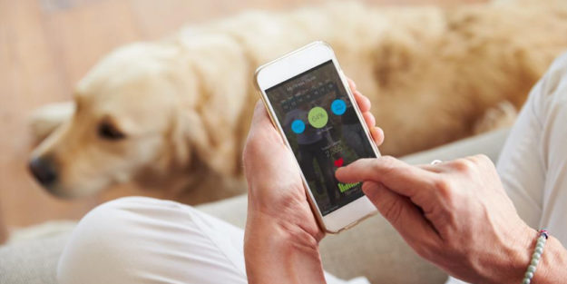 How Your Smartphone Holds the Key to Healthcare’s Transformation