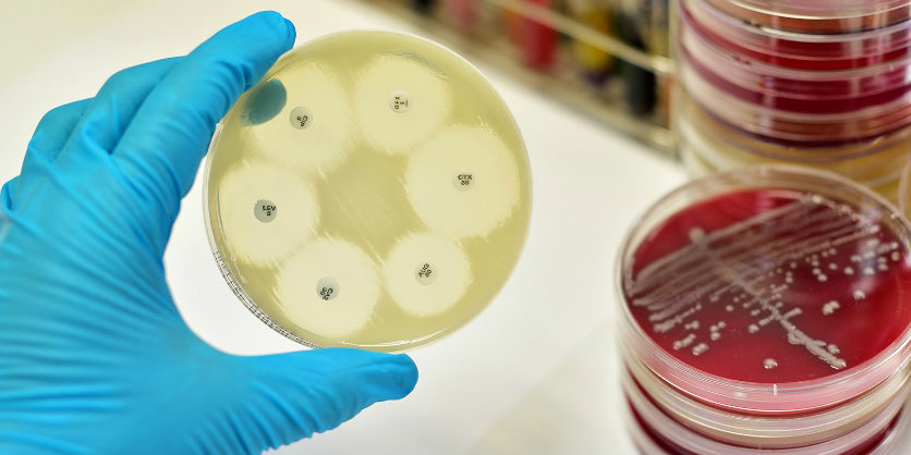 Antimicrobial resistance: A developing menace troubling the whole world