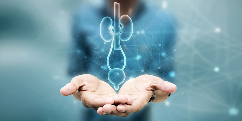 Renal Care – Reliable Medical Equipment Renal Care - Reliable Medical Equipment