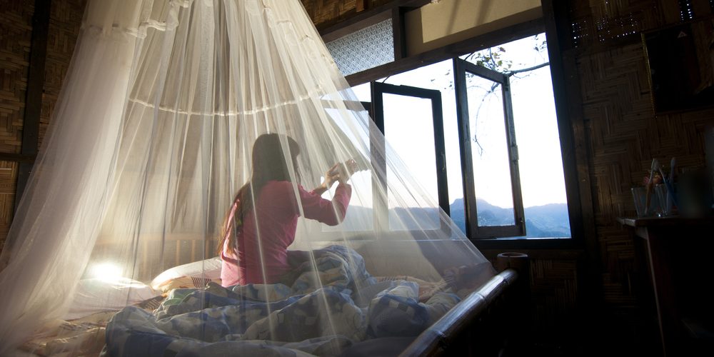 Dengue Prevention Dengue Prevention