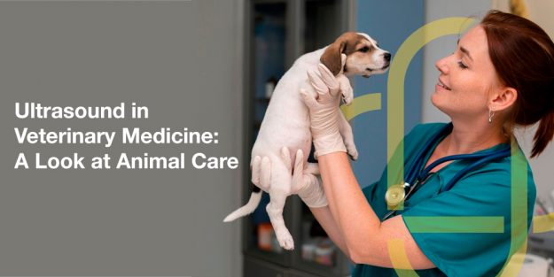 Discover how X-rays are used in orthopedics & surgery