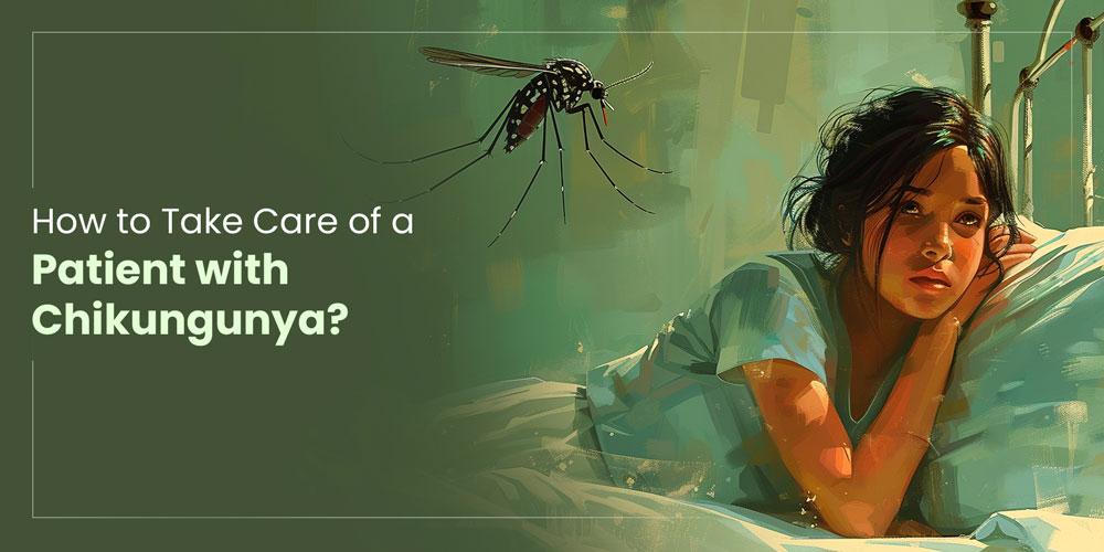 Take Care of a Patient with Chikungunya