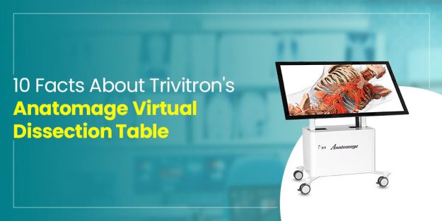 Anatomage Virtual Dissection Table