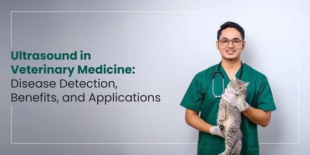 Ultrasound in Veterinary Medicine