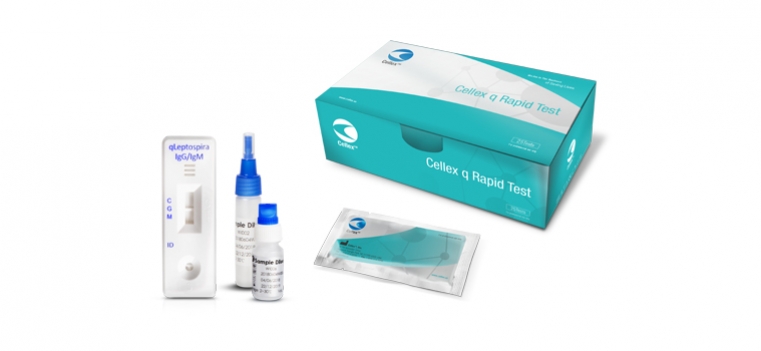 rapid-test-kits-and-elisa