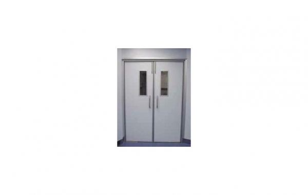 Swing Doors