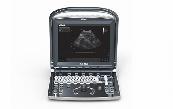 black-white-ultrasound